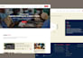 design and build a wordpress website using the divi theme professionally